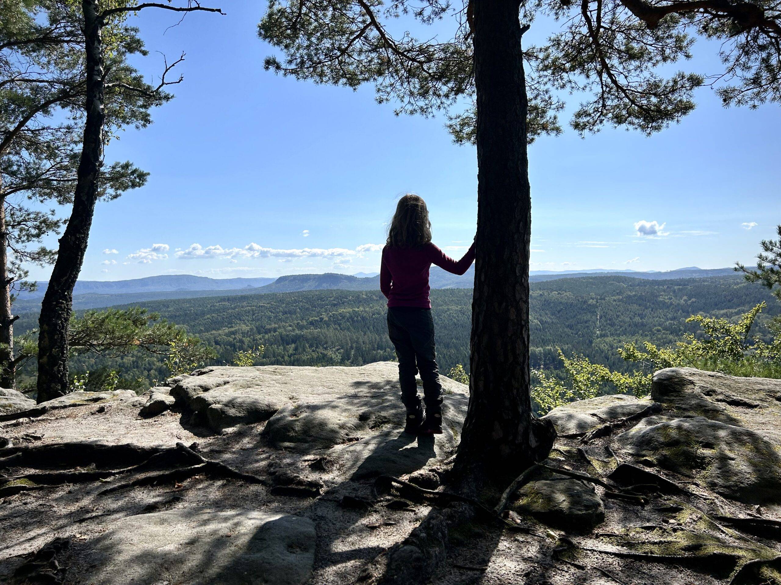 Forststeig Etappe 5 – Rotsteinhütte bis Leupoldishain